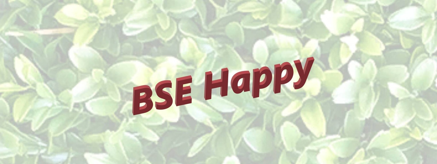 BSE Happy