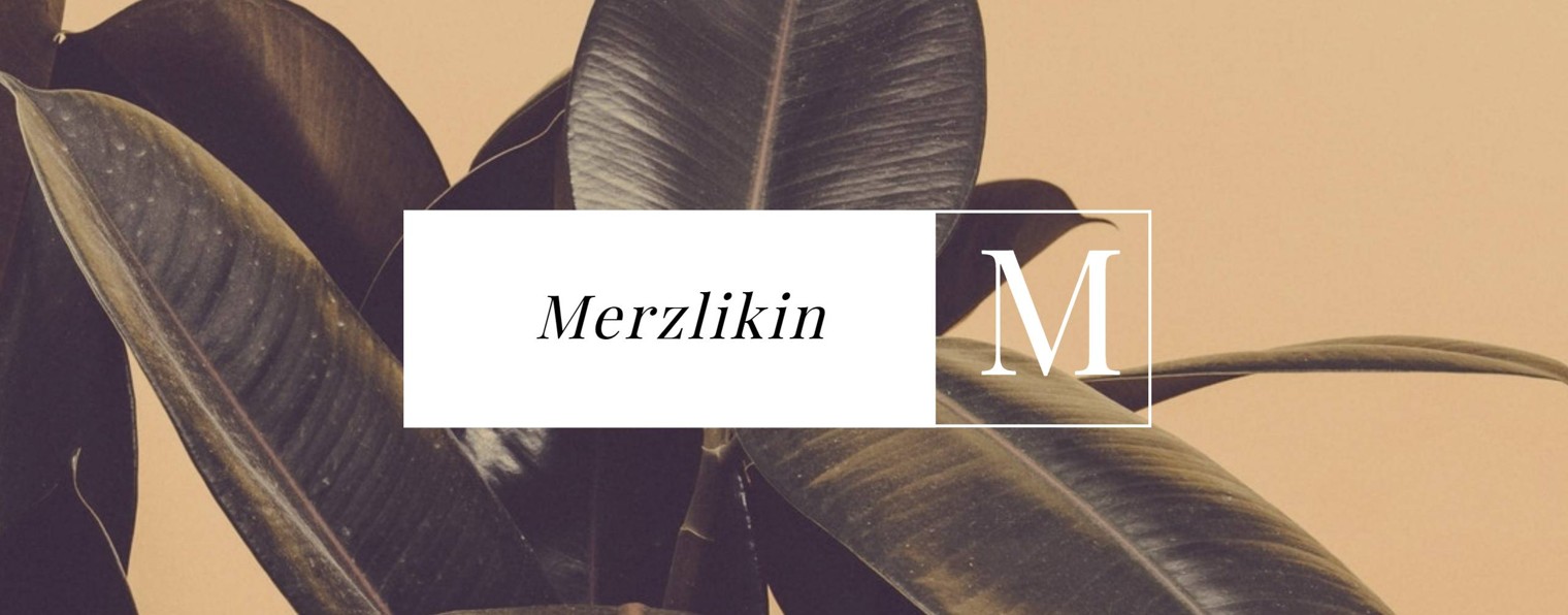 Merzlikin