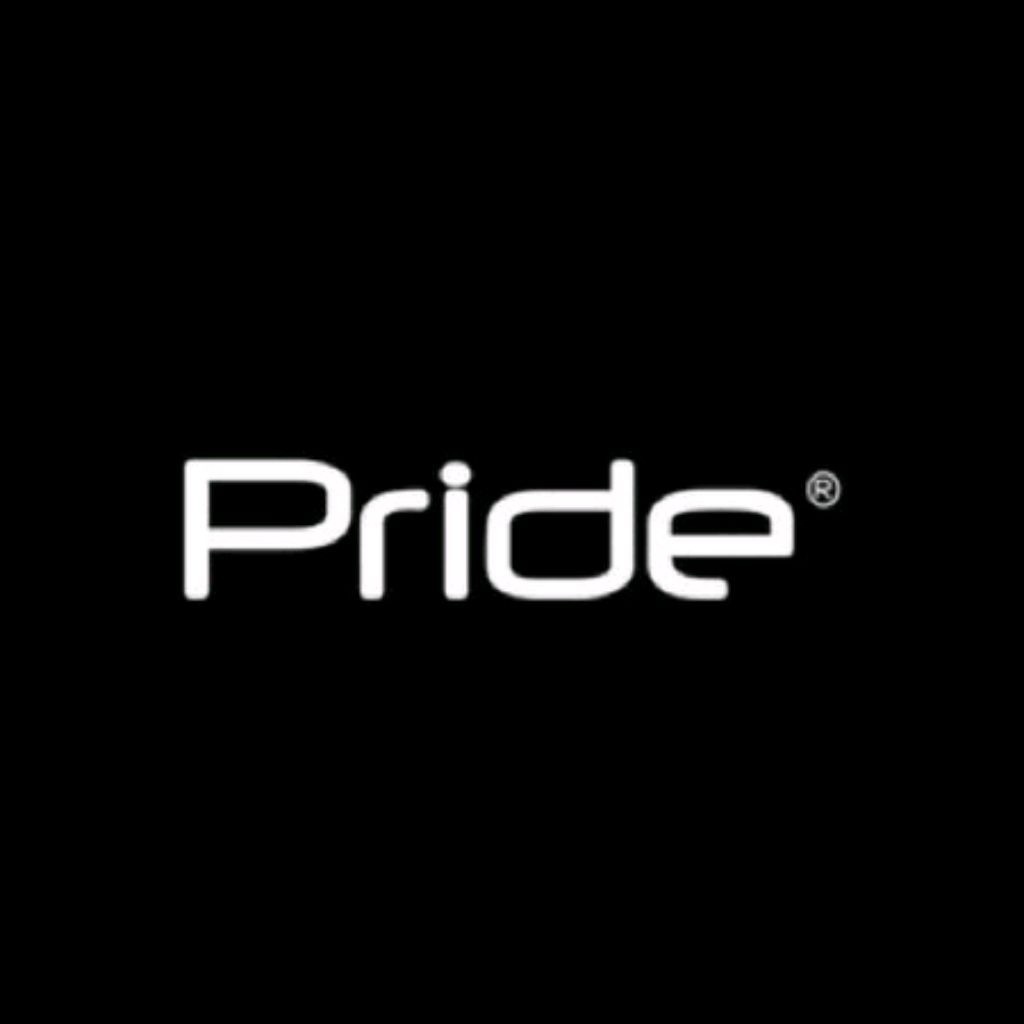 Audo studio. Pride car Audio наклейка. Pride логотип. Надпись Прайд. Pride car Audio логотип.