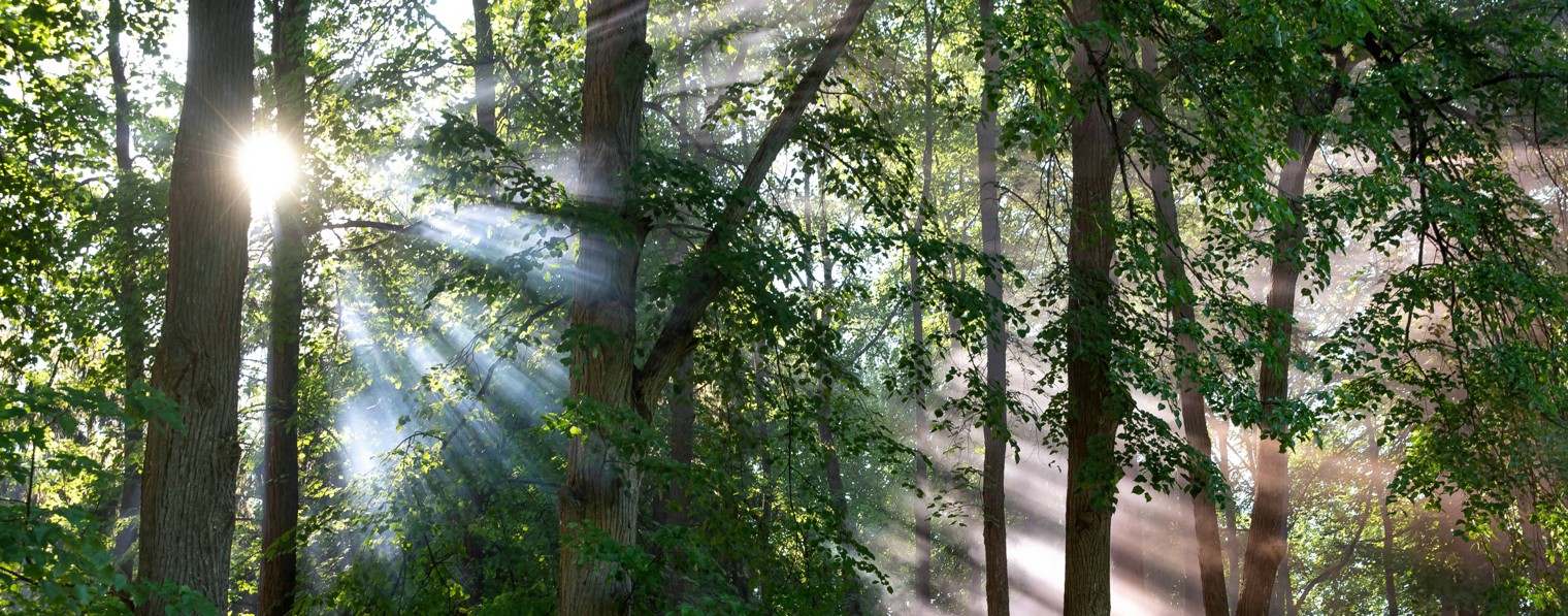 точка опоры. даже в кризис с Ириной Прошутинской