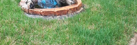 Счастливая Жизнь