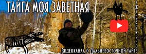 Тайга моя заветная, видео о тайге и таежниках