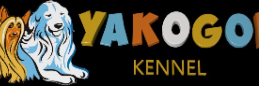 YAKOGOR