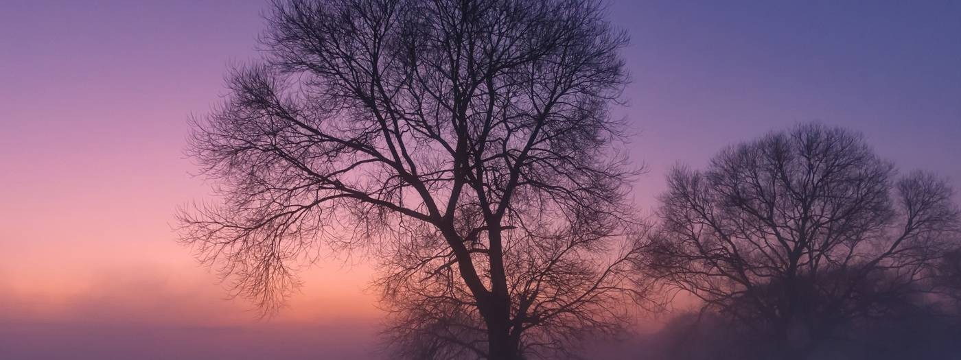 Олег Минаков. Автор исполнитель.