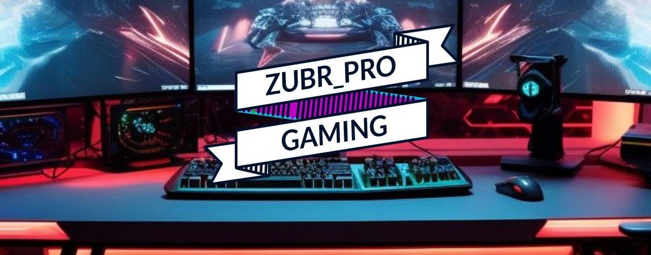 ZUBR_PRO GAMING