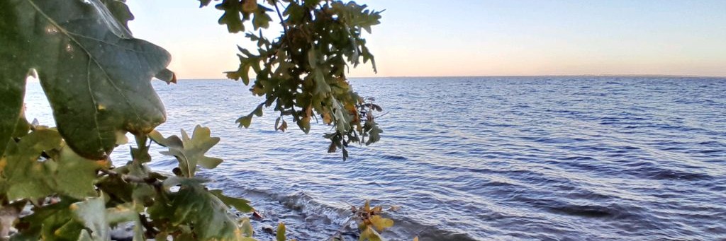 Твой психолог.