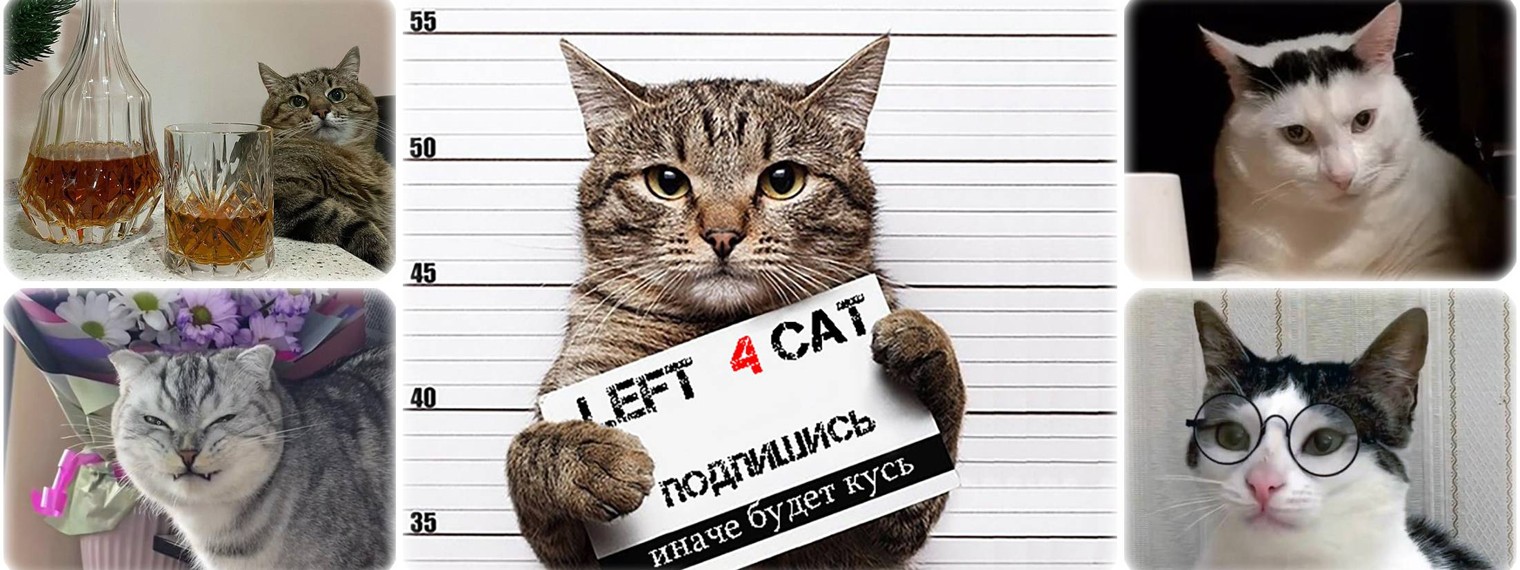 LEFT 4 CAT