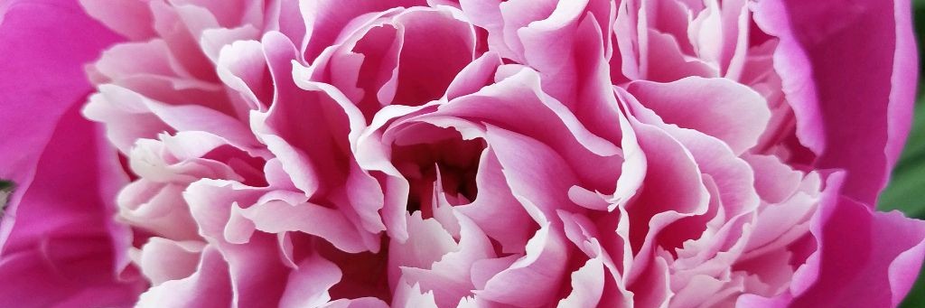 Тресвятская Ирайда