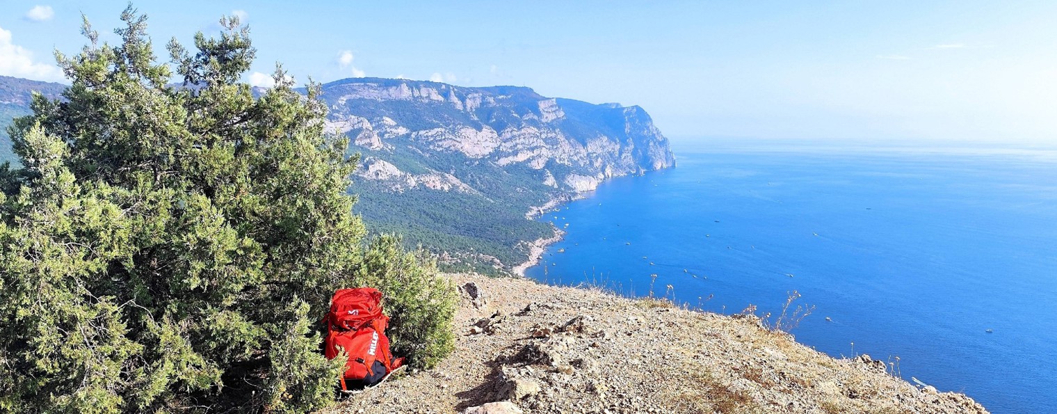 Алексей Захаров