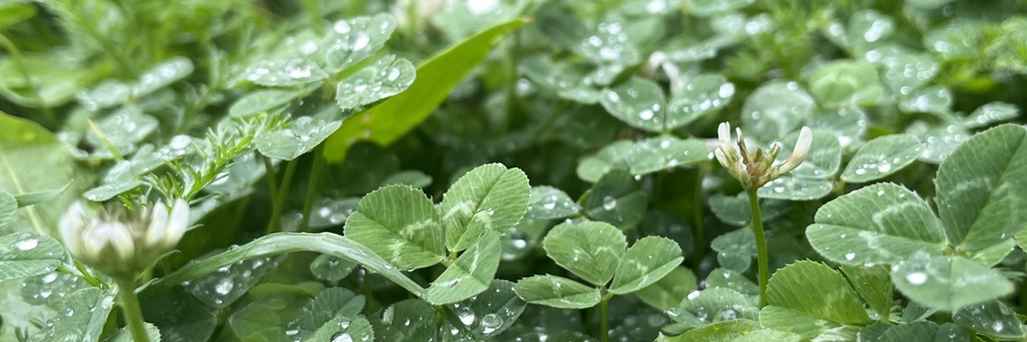 На моей планете