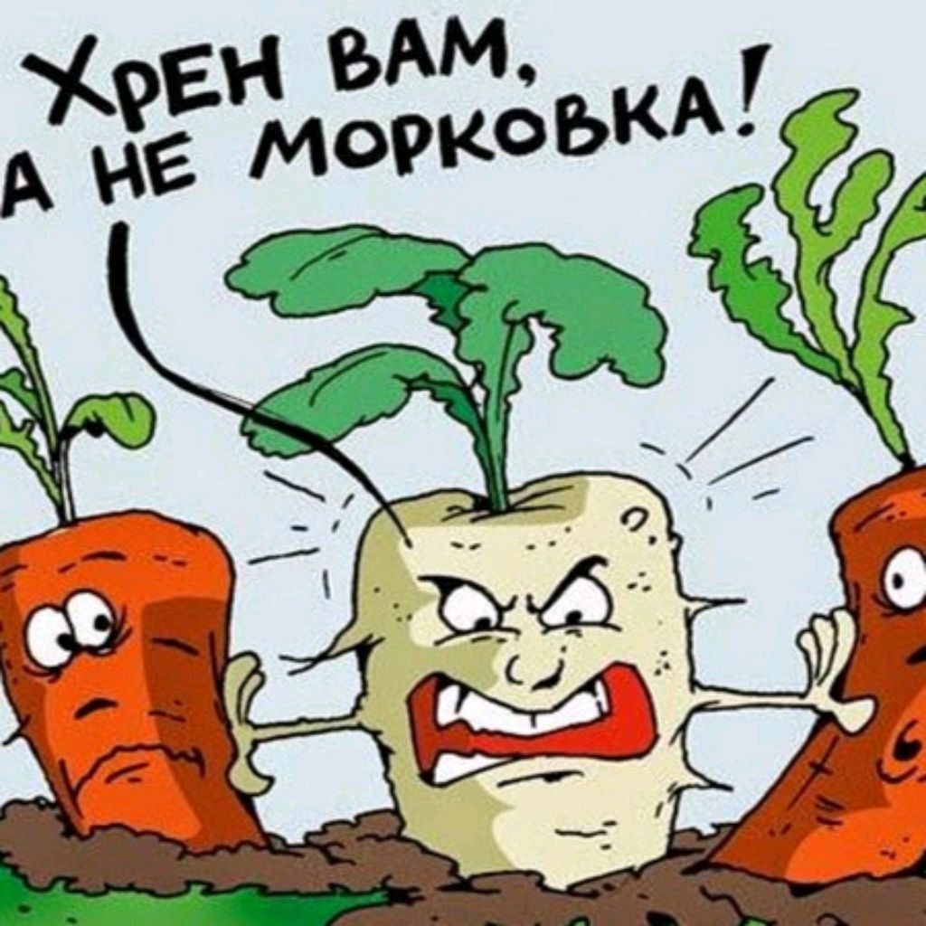 Как Морковкин В Историю Влип Слушать