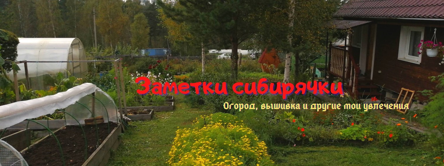 Заметки сибирячки (Любовь Комарова)