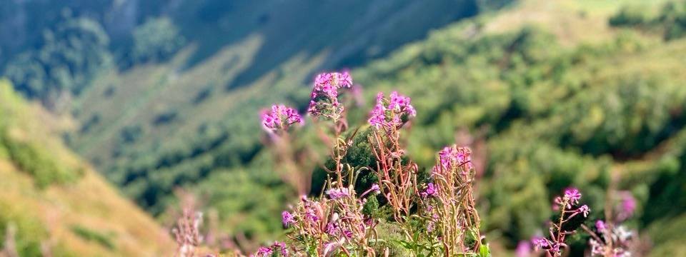 Сергей Корнеев - Творчество и жизнь