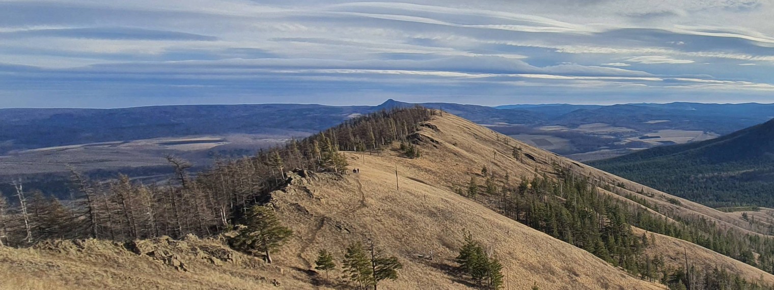 Дивану нет!