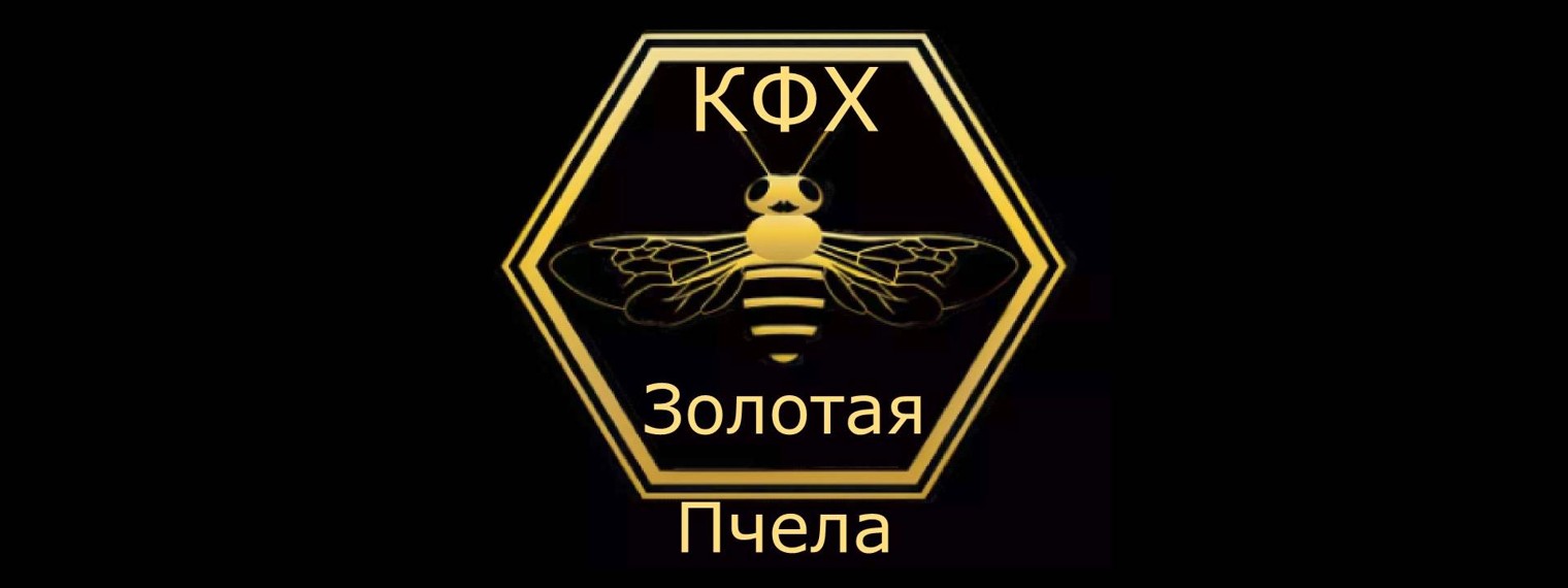 Golden bee. золотая пчела гуччи. золотая пчела логотип. студия beegoody. золотая пчела гуччи.