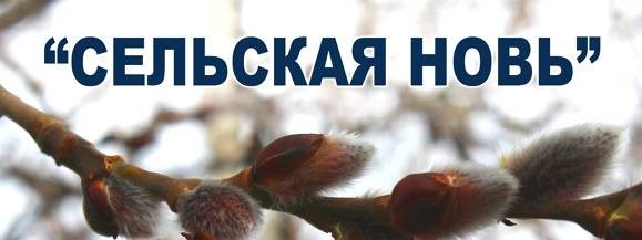 Редакция газеты "Сельская новь"