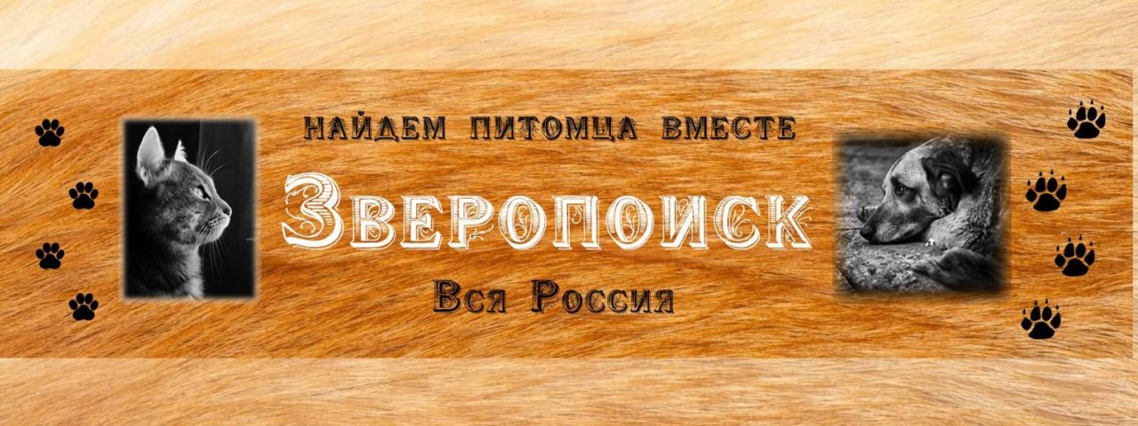 Зверопоиск