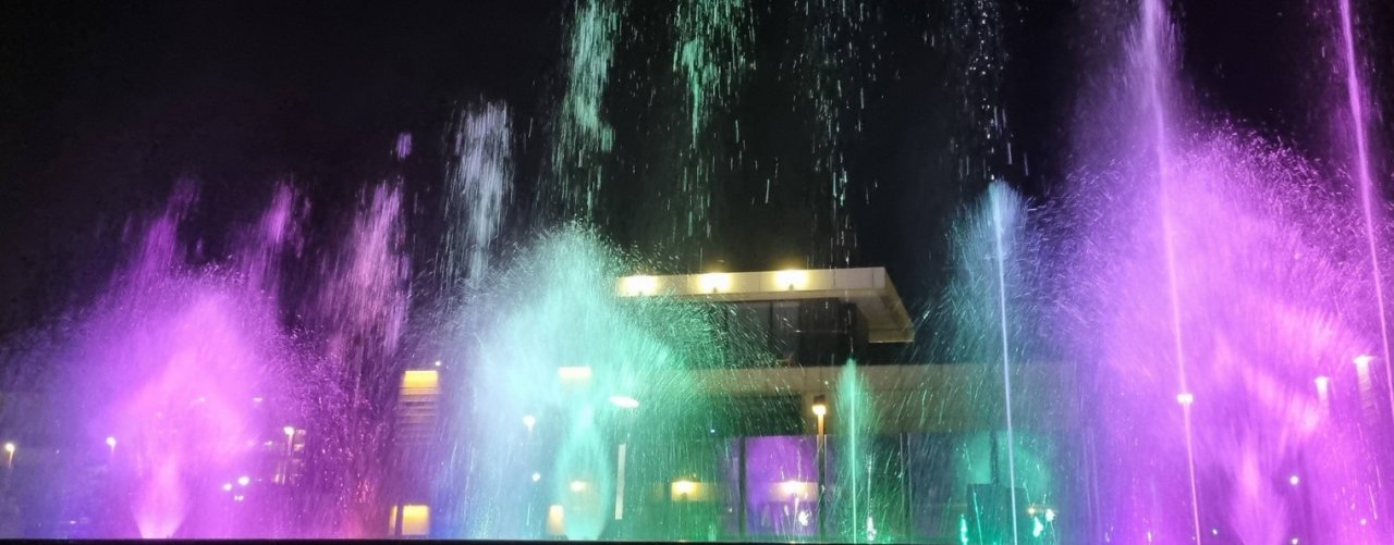 Бобры на чемоданах