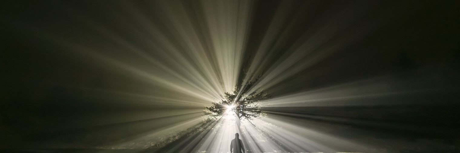 Ольга Тушева