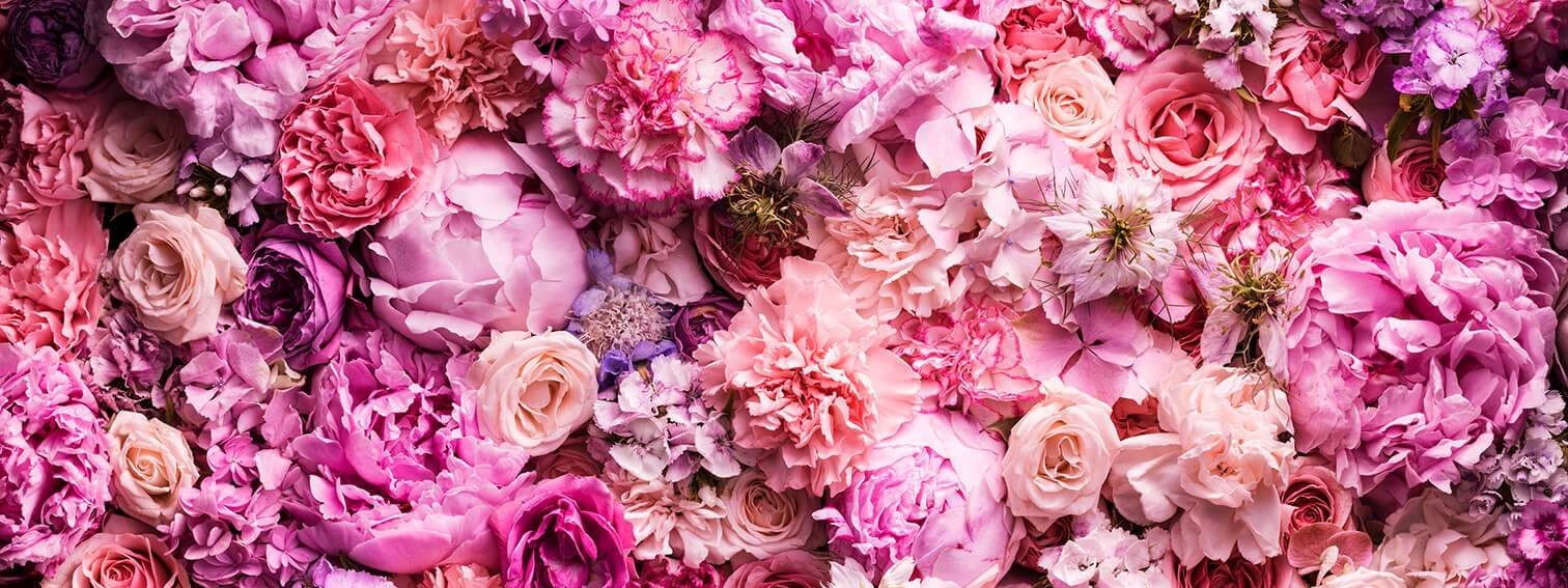 Цветы котельнич. Фон из цветов. Красивый баннер с цветами. Розовые пионы. Фон для баннера цветы.