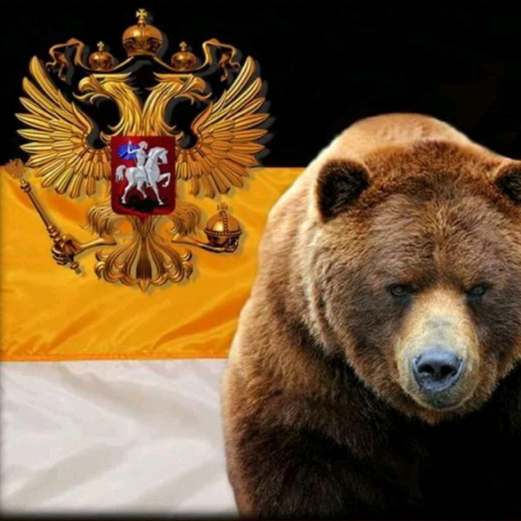 Russian bear steam фото 95