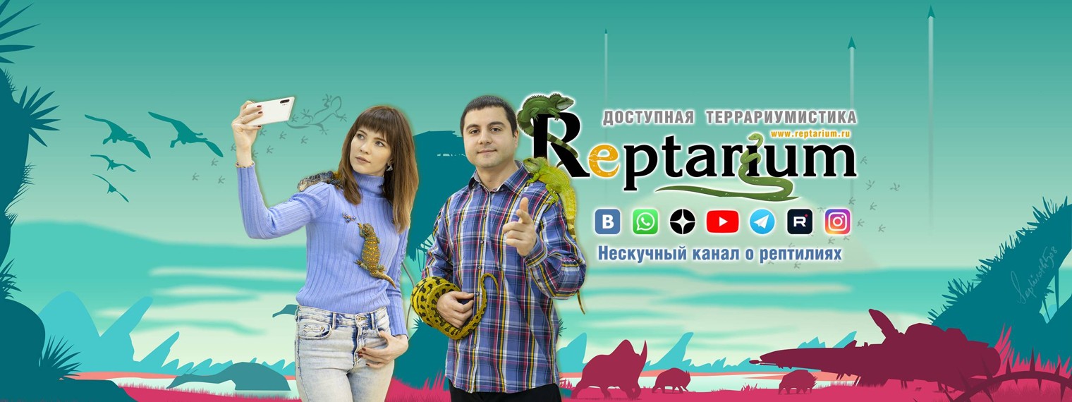 Reptarium