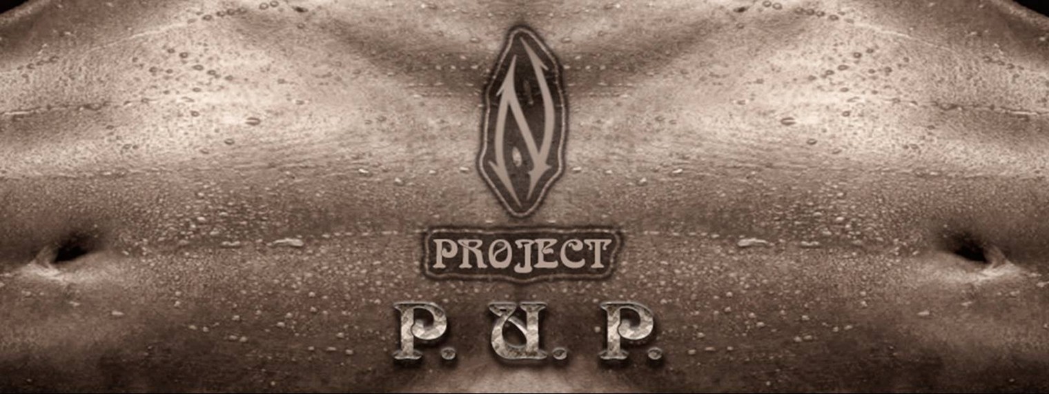 NPROJECT