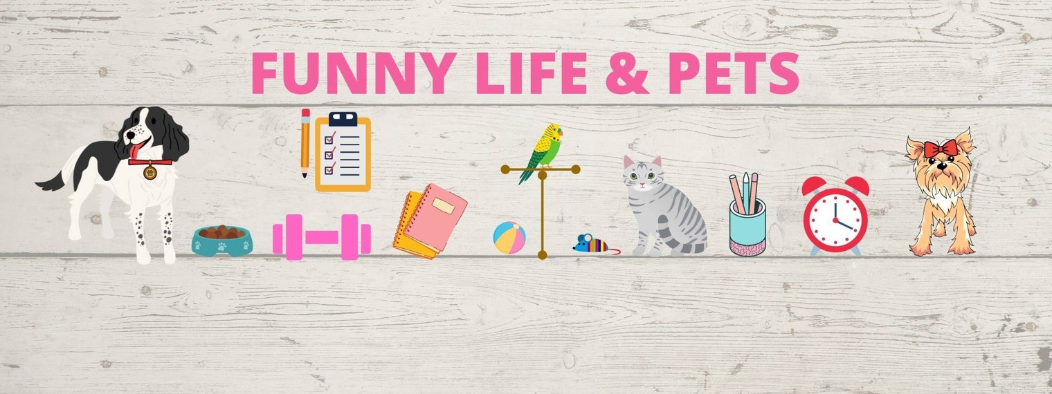 FANNY LIFE & PETS