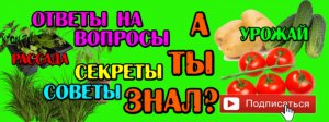 А ты знал?