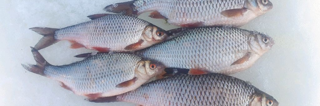 Охотник на Рыбалке 21