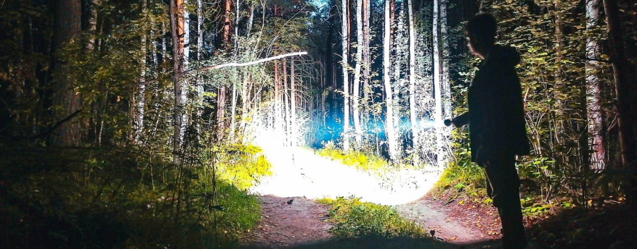 Уйду в лес  \ Экспедиция Заброшенная деревня