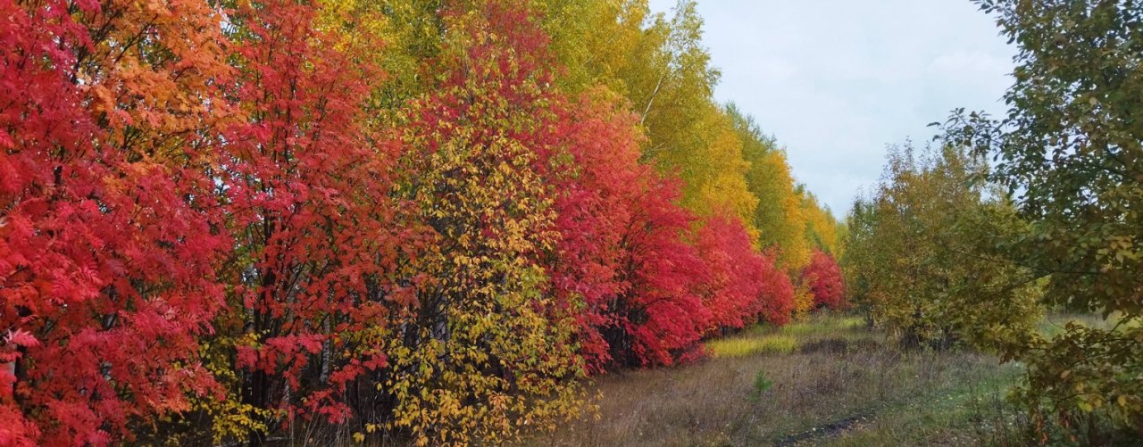 Загородная жизнь с Алексеем