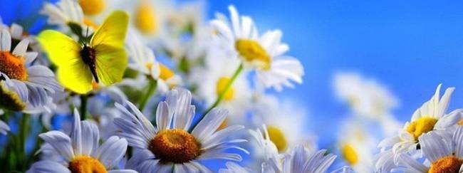 Обложки для ок