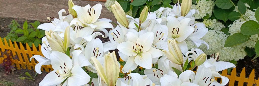 Путешествуй выгодно