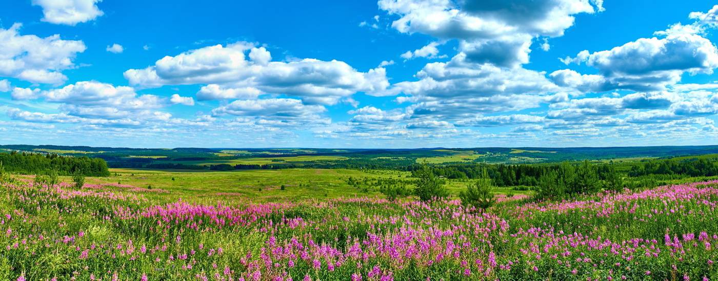 ВидеоСклад