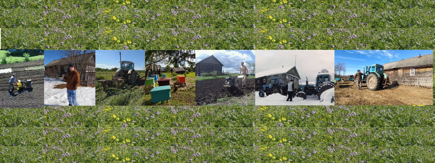 Домик в Деревне