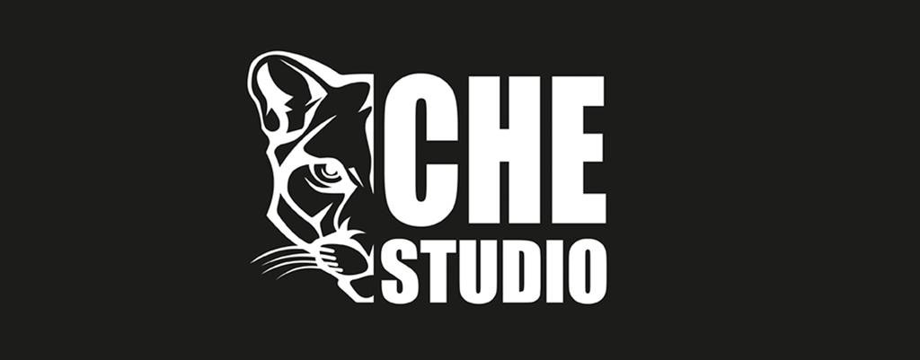 CHESTUDIO