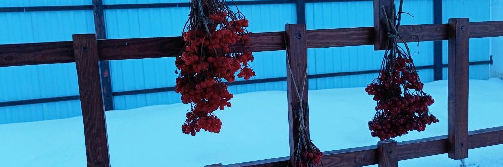 Татьянин день