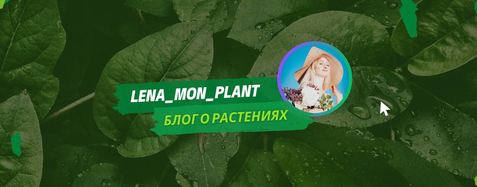 Mon plant | Питомник растений