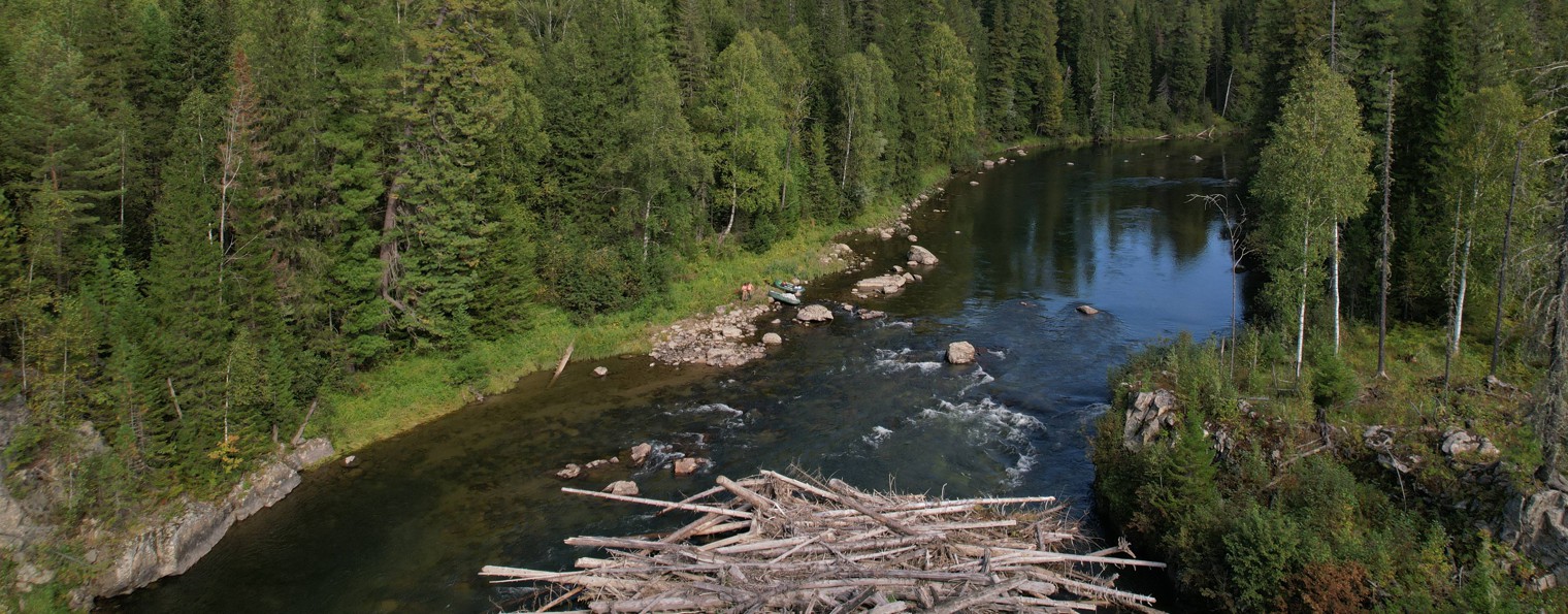 Сибирский бродяга