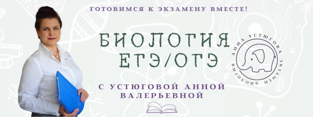 Первая линия егэ. Первая линия егэ