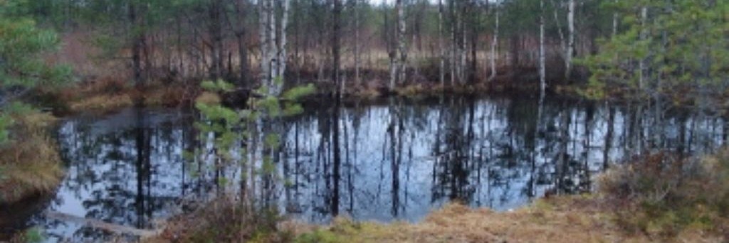 Александр29