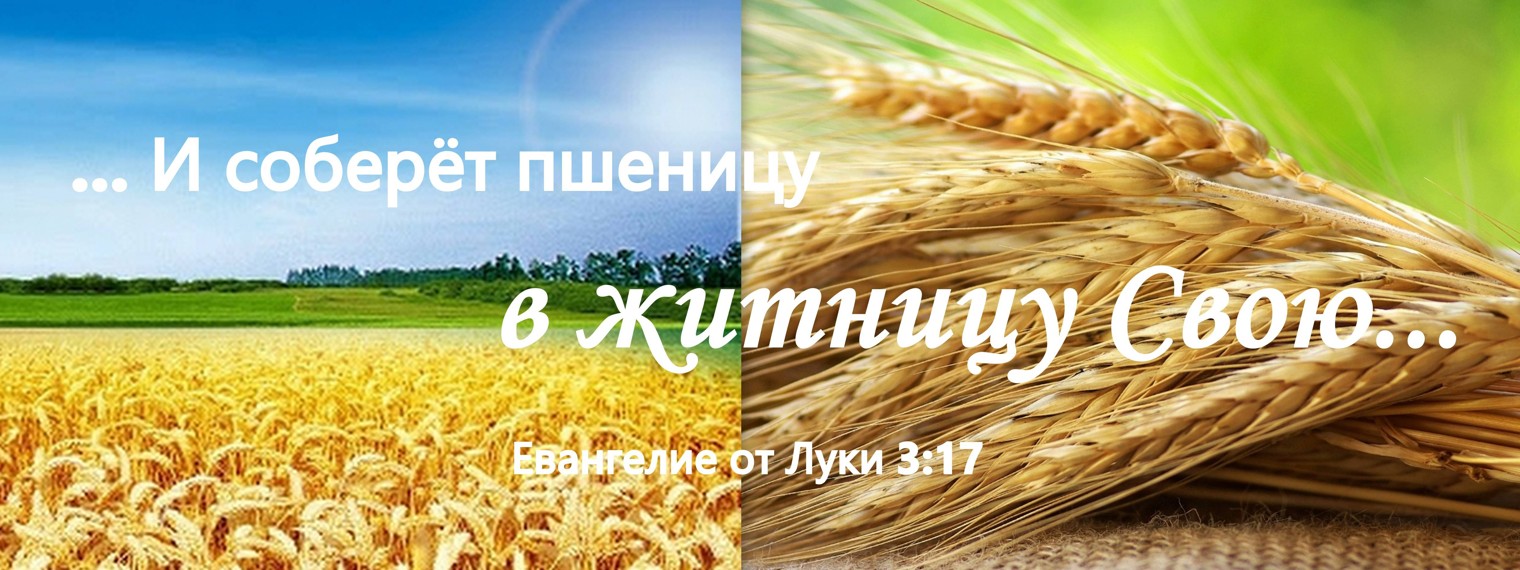 Житница осетинские. Кубань Житница России. Кубань Житница России картинки. Житница Уссурийск. Житница гречка.