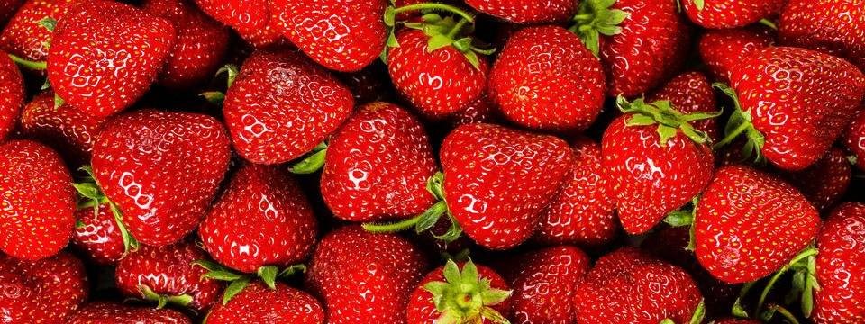 канал про клубнику .