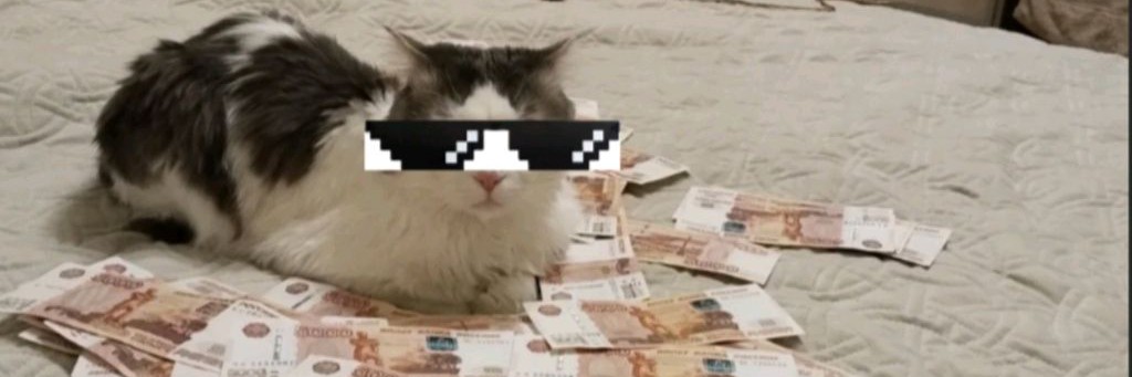 Пушок Rutubeⁱˢ ᵃᵇˢᵒˡᵘᵗᵉ😽