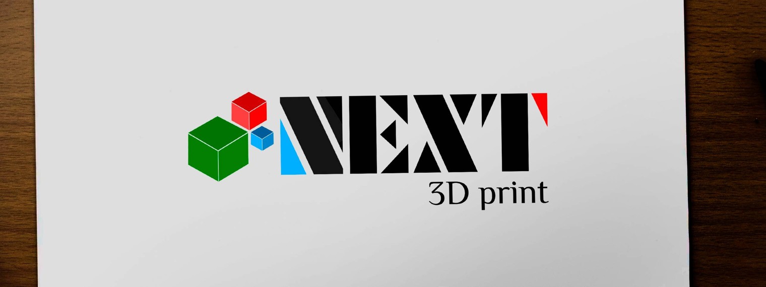 Next 3D Print