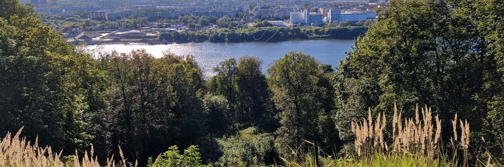 АЛЕКСЕЙ показывает Life