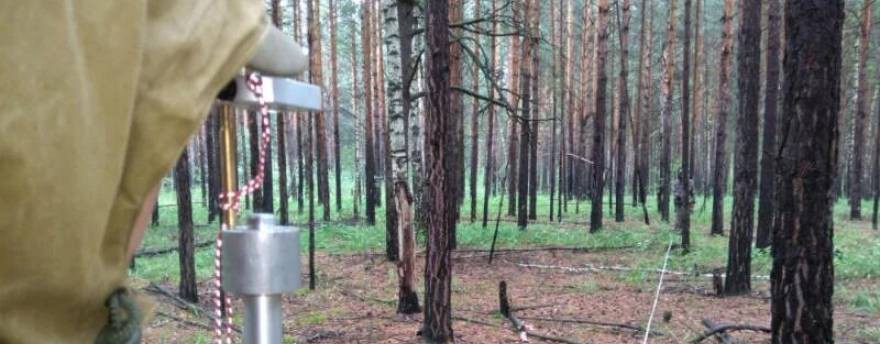 Расчет лесосеки