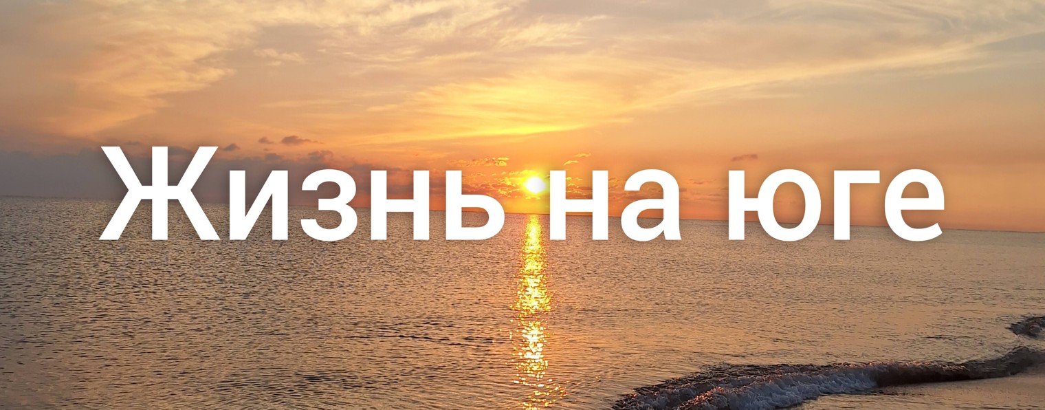 ЖИЗНЬ НА ЮГЕ