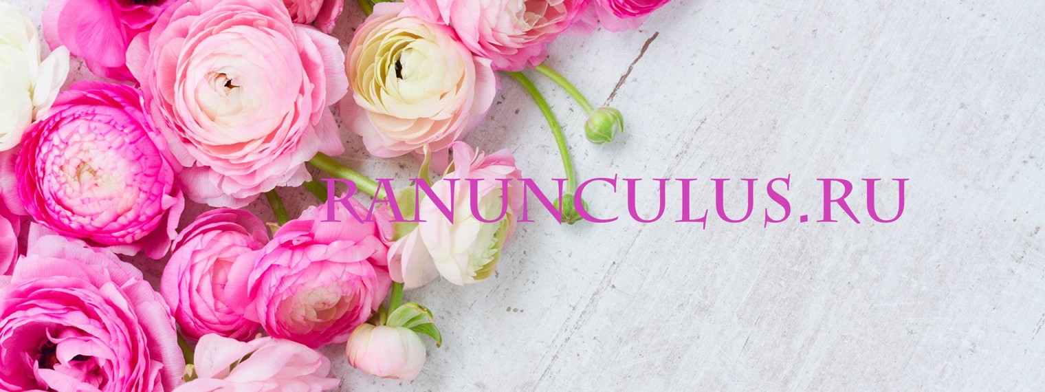 Флористическая студия Ranunculus